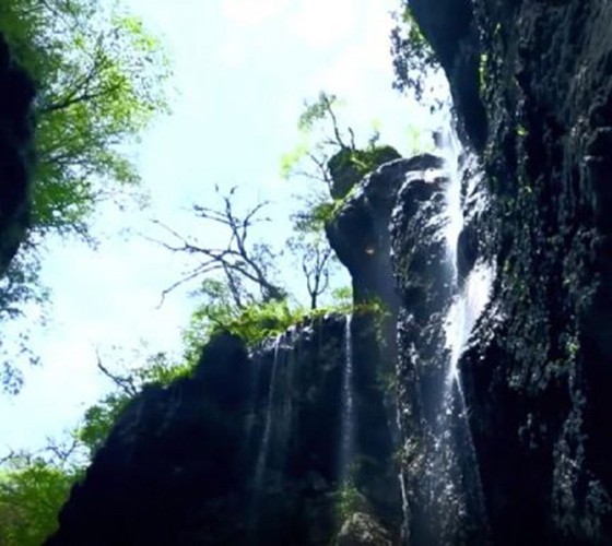 青山綠水，白龍江畔江畔息白鷺，兩岸綠橄欖入眼的都是純樸自然枝上花開(kāi)，春來(lái)水暖魚(yú)蝦戲水，鳥(niǎo)語(yǔ)花香心中充滿(mǎn)著舒暢之感祥宇生態(tài)產(chǎn)業(yè)園，位于隴南市武..